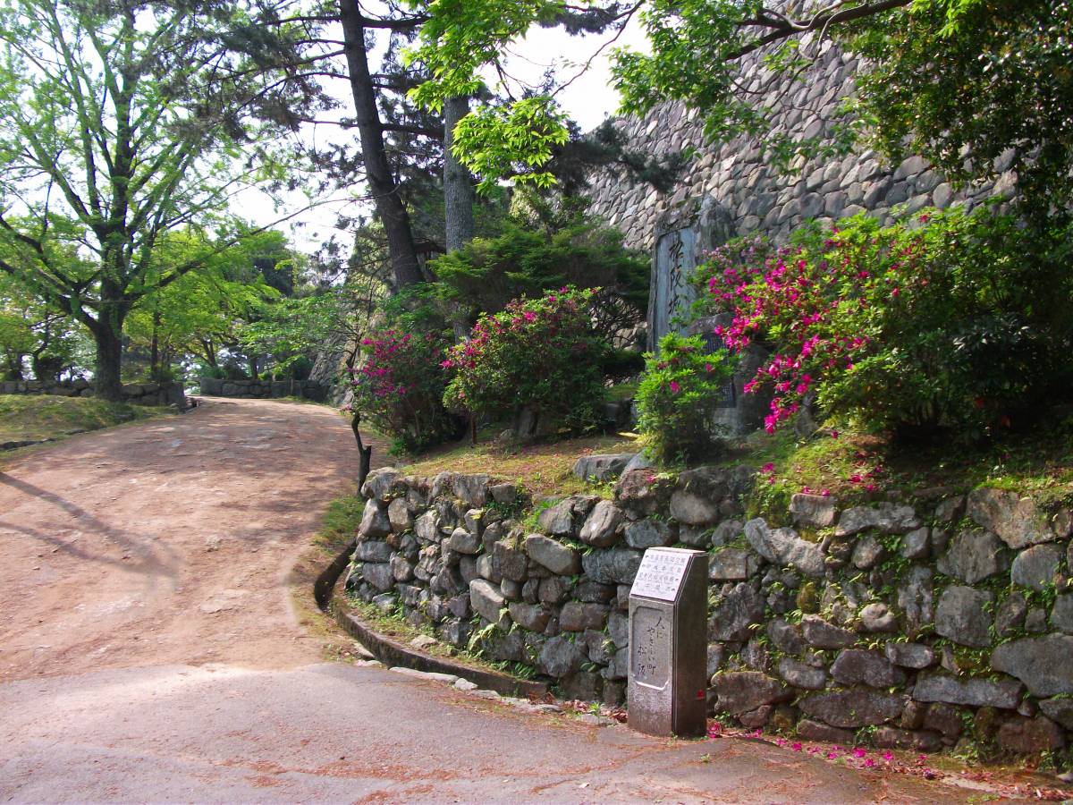 蒲生氏郷が築いた壮大な石垣が残る松坂城跡